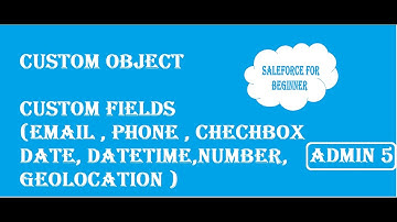 || Admin 5 || CUSTOM FIELDS || DATATYPE (TEXT,EMAIL,PHONE,NUMBER,CHECKBOX,DATE) ||