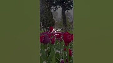 ( هذا خلق الله ) بصوت الشيخ#ياسر_الدوسري#سورة_لقمان