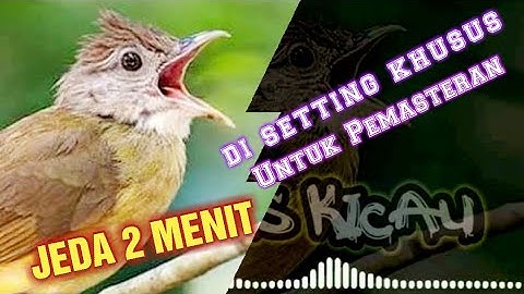 Khusus Masteran || Cucak jenggot Jeda 2 Menit || Durasi 1 jam Jernih