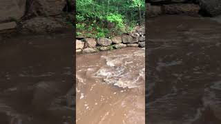 Chickasaw National Recreation Area #aftertherain #waterfalls #hiking #swimming #camping #fishing