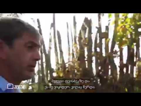 ასე დაიწო ეს ამბავი: ვეძებდი ბეღელს!