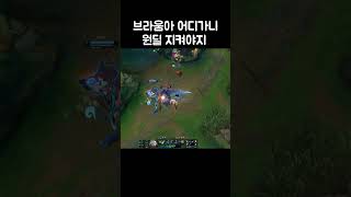 원딜은 브라움이 싫을지도?