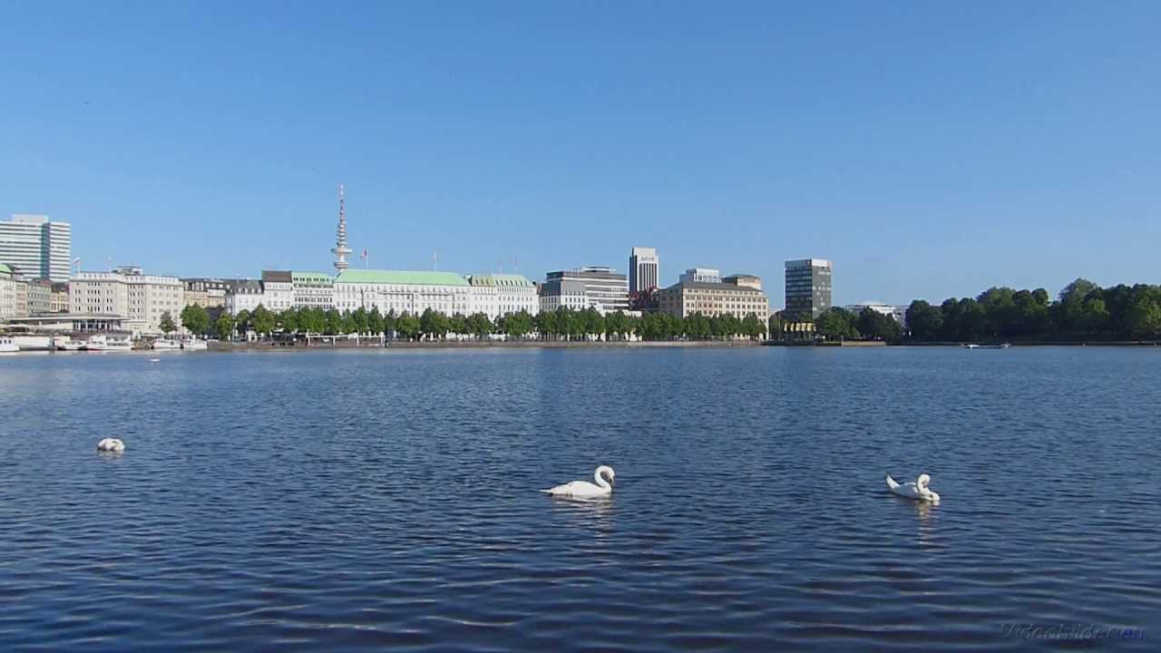 Hamburg, Binnenalster, Alsterschwäne - Full HD (1080p) Videobild schwäne füttern womit