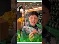 الشب اللي بده مصلحة أبوه