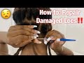 HOW TO REPAIR DAMAGED LOCS USING A LOC TOOL! (Beginner Friendly Easy & Quick Technique)