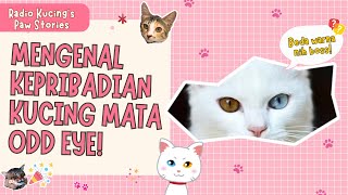 KUCING ODD EYE PUNYA KEPRIBADIAN GANDA?! YUK KETAHUI SIFATNYA!😻❤️  | Radio Kucing's Paw Stories #48