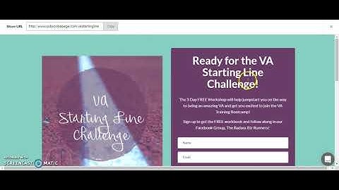 Mailer Lite Dashboard