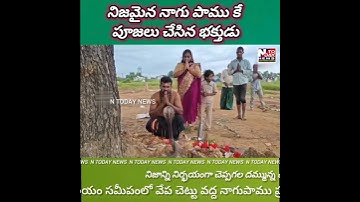 నిజమైన నాగు పాము కు పూజలు చేసిన వైనం జంగారెడ్డిగూడెంలో చోటుచేసుకుంది