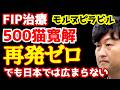 【FIP治療】500猫寛解、再発ゼロ。それでも日本では広まらない理由｜第164話＠猫伝染性腹膜炎