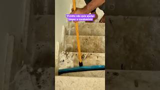 Vizinho não quis ajudar limpar o condomínio