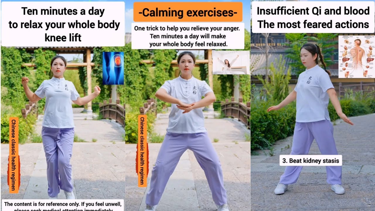 Tai Chi Exercise for Seniors Go Great Health | 3min Daily Taichi Routine 
