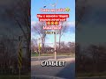 Смех до слёз!🤣 #shorts #viralvideo #funny #humor #юмор #смех #прикол #шутки #анекдоты #маменко