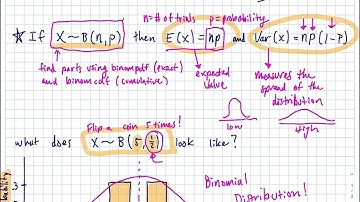 IB AI SL 2 expected values and variance of distributions