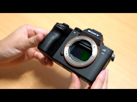 Sony A7R III - Hands-On First Look and Sample Photos