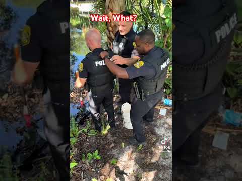 Crazy reveal!!!! #fyp #viral #tampa #florida #police #shorts #trending #crazy #2026 #fypシ #reels