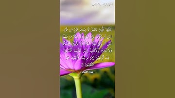 سورة الحجرات الآية ١١ الشيخ ناصر القطامي