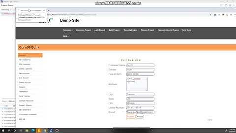 Selenium IDE Demo