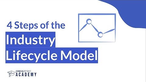 4 Stages of the Industry Lifecycle Model | External Analysis Course
