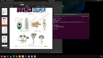 PDF question answering AI assistant | ChatGPT Application