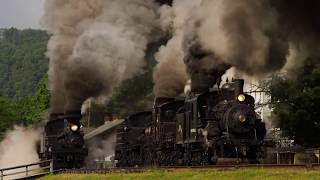 Cass Scenic Railroad: Parade of Steam 2020