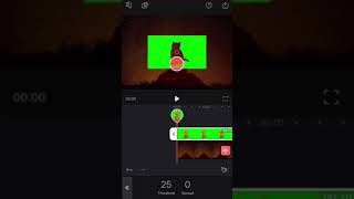 Enlight Videoleap: How to Work with Chroma (Green Screen!) screenshot 4