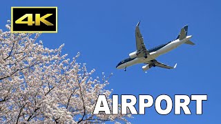 [4K] Plane Spotting - Airports in Japan / 日本の空港 / Fairport