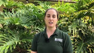 USGS Kilauea volcano update, June 13, 2018