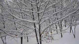 Heavy snow, Sofia, Bulgaria, 26.01.2012