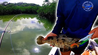 INSHORE REEF FISHING AND SKIPCASTING THE GREAT SANDY STRAITS KGARI