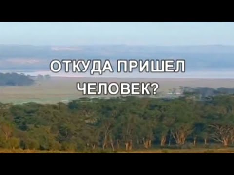 Откуда пришел человек? По следам тайны @Телеканал Культура