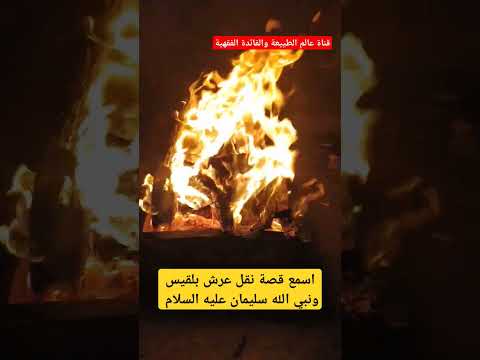قصة نقل عرش بلقيس ونبي الله سليمان عليه السلام نار قص دينية قصص نبي الله سليمان النبي الأنبياء