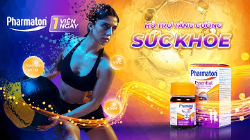 Học Photoshop Cơ Bản – Thiết Kế Banner Vitamin Cho Người Mới Bắt Đầu | Designaz