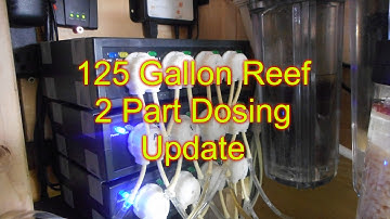 Increasing 2 Part Dosing | Reef Tank