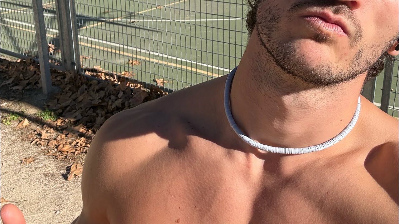 ENTRENAMIENTO CALISTENIA EXPLICADO + FISICO ACTUAL