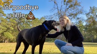 abandoning my dog in the woods because he ate my corndog by Ellie Dee 12,830 views 3 years ago 12 minutes, 46 seconds