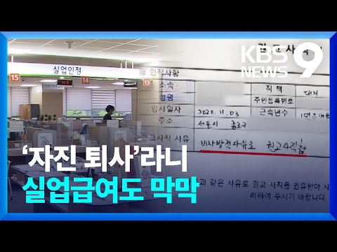 해고 당했는데 자진 퇴사 라니 실업급여도 막막 5인미만 차별 9시 뉴스 KBS 2023 05 02 