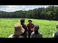 Joel Salatin talks pasture cropping