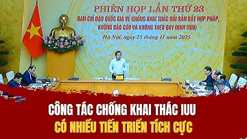Công tác chống khai thác IUU có nhiều tiến triển tích cực