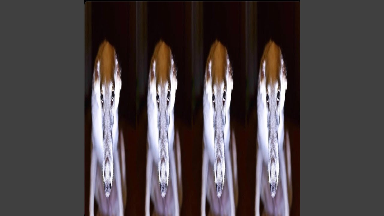 Watch TWENTY-EIGHTH on YouTube Watch TWENTY-EIGHTH on YouTube