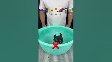 Probeer eens te raden hoeveel tissues er nodig waren! #asmr #bevredigend #experiment