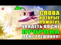 СЛОВА КОТОРЫЕ ВЫ МОЖЕТЕ ПРОИЗНЕСТИ И УВИДЕТЬ ВО СНЕ ПРОРОКА МУХАММАДА! хадис пророка