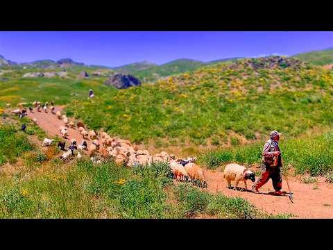 Hakkari’de Kürt Köylülerinin
