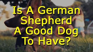 Is A German Shepherd A Good Dog To Have by Wander Woman 43 views 8 days ago 4 minutes, 35 seconds