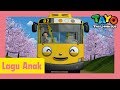 Tayo Lagu Pembukaan Tema Versi Manis Lani l lagu untuk anak-anak l Tayo bus kecil