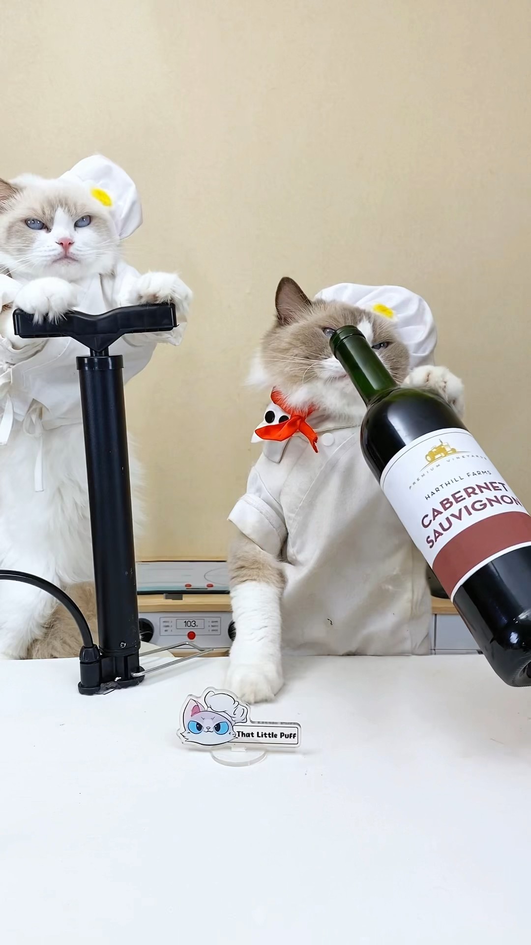 Pump this Puff up! #ThatLittlePuff