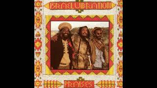 Israel Vibration - There Is No End