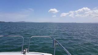 Riding the Seacat 565 fc