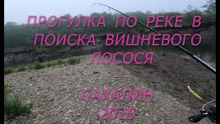 :    !  2025.