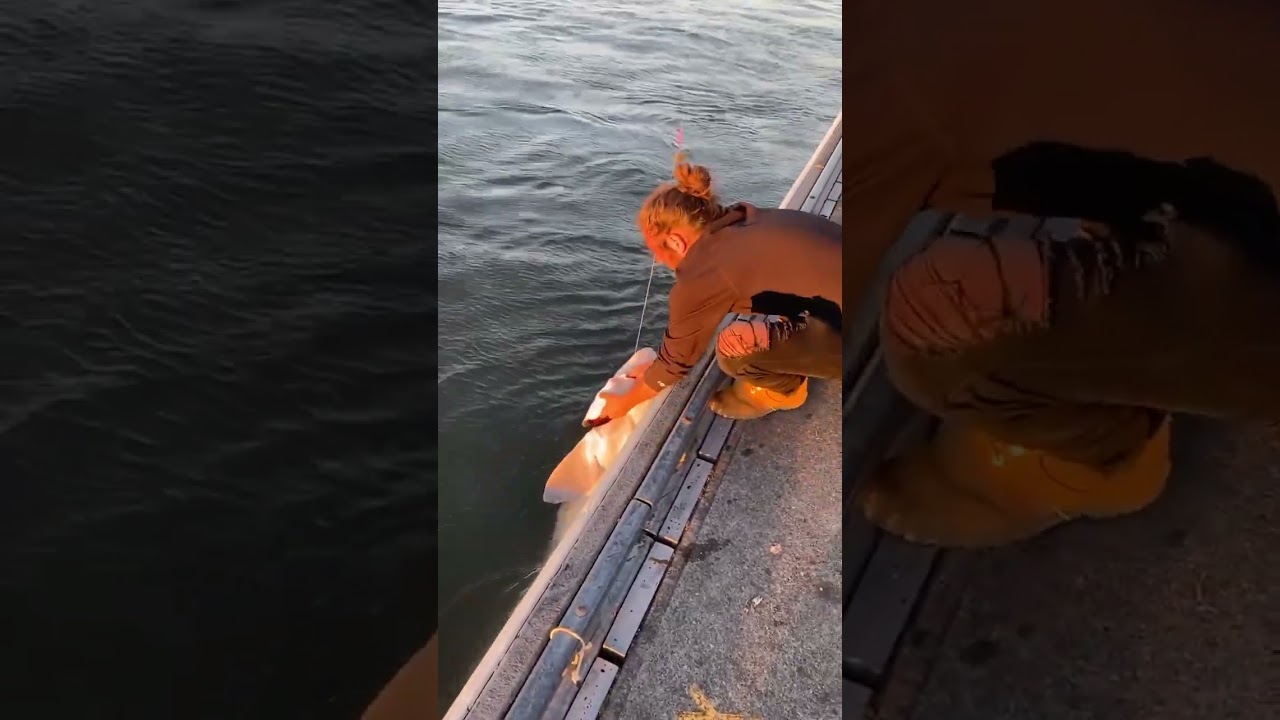 Huge fish comes off at shore 