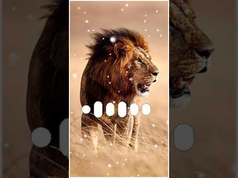 Tiger Attitude Ringtone Tiger Trap Famous Ringtone Tiktok Trending Ringtone 2021 Hit Ringtone